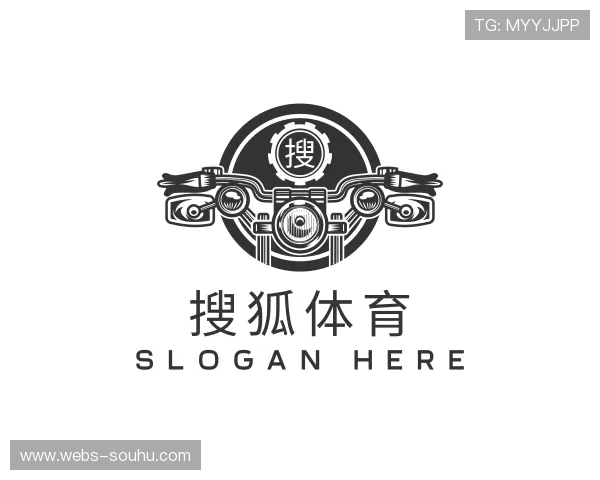 解读搜狐体育网页版